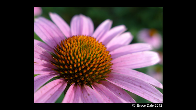 Get Inspired - Lumix Digital Camera: DMC-LX7